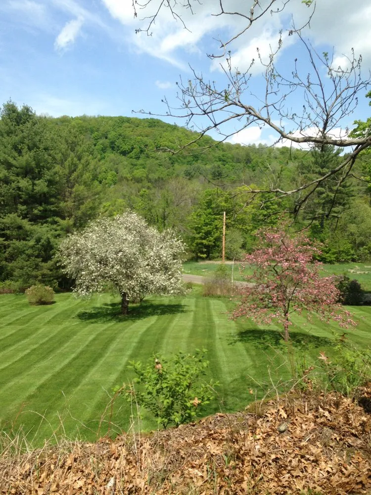 Top-rated lawn care service for beautiful yards across Reading, VT - Goodhouse Landscaping