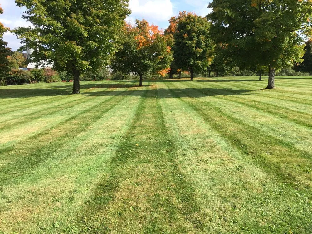 Professional residential landscaping experts serving Reading, VT - Goodhouse Landscaping