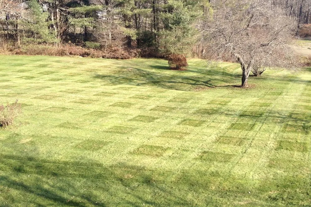 Expert lawn care service experts serving Reading, VT - Goodhouse Landscaping