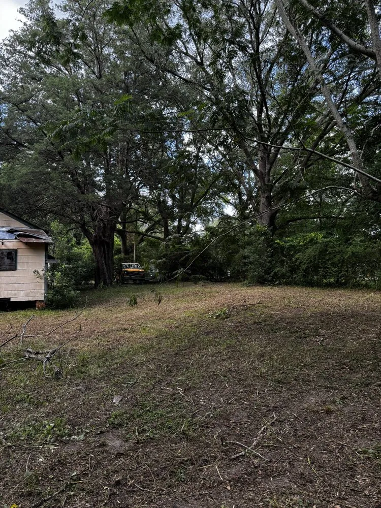 Affordable lawn mowing service in Daphne, AL - Goodlife Exterior