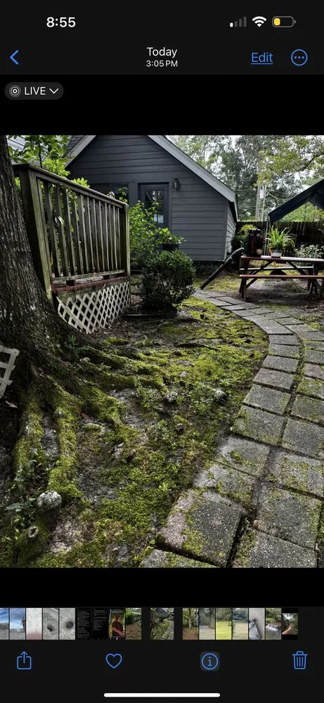 Expert yard maintenance in Daphne, AL by Goodlife Exterior