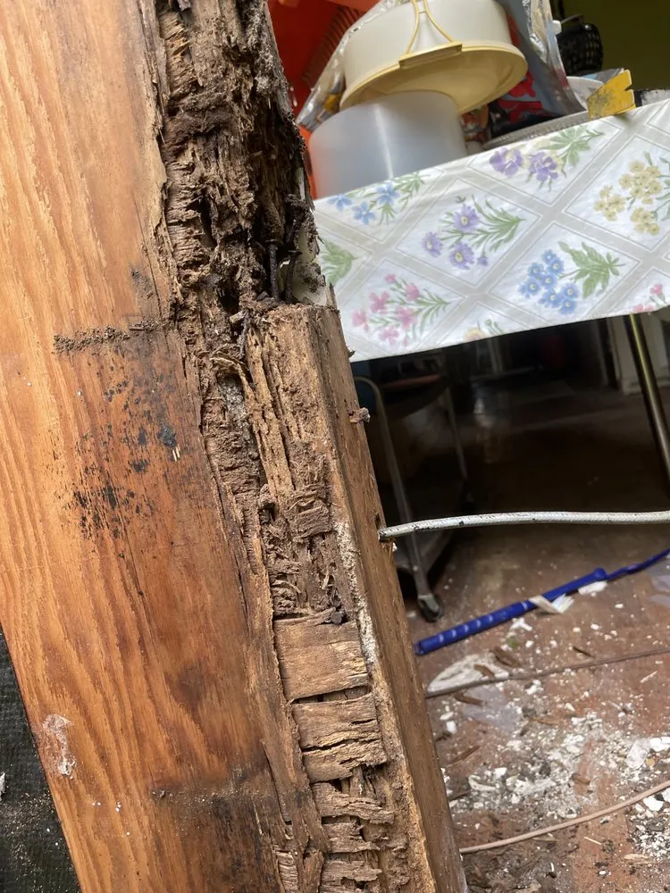 Trusted yard maintenance in Fort Payne, AL - Goodman Construction Services