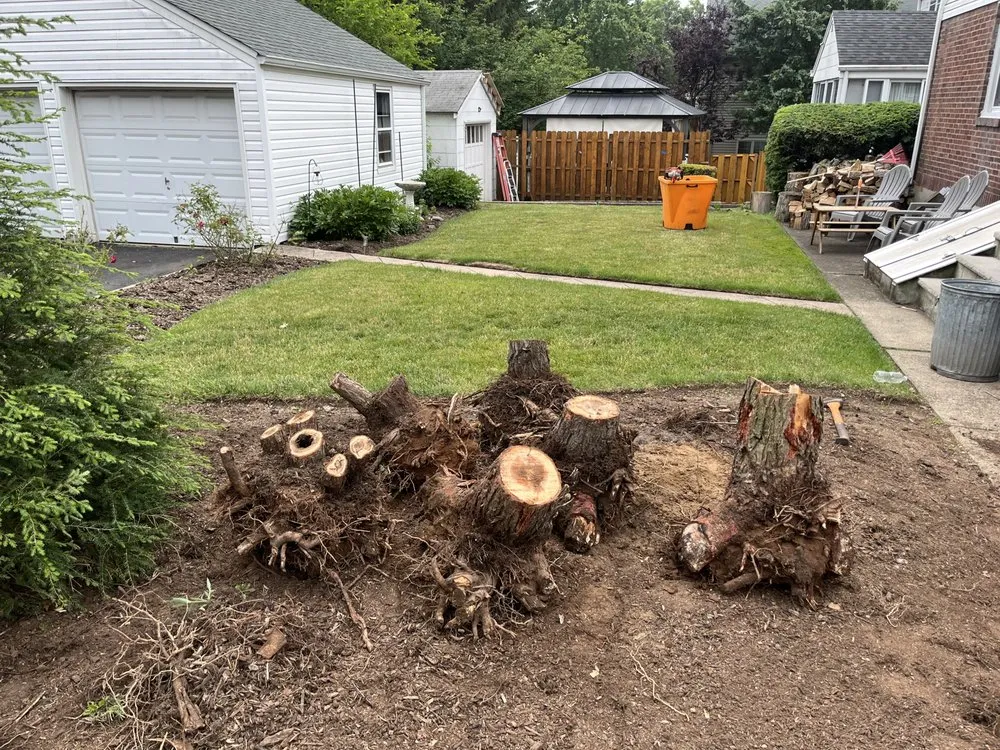 Local lawn mowing service experts serving River Edge, NJ - Goodman Landscape Contractors