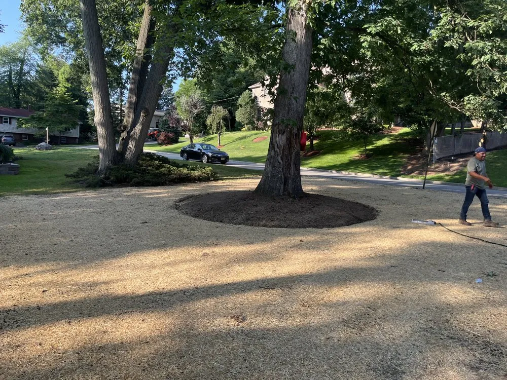 Expert yard maintenance in River Edge, NJ - Goodman Landscape Contractors