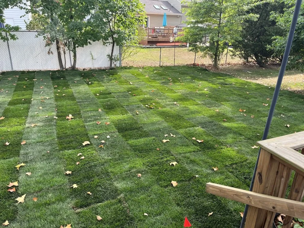 Affordable yard cleanup service for residential properties across River Edge, NJ - Goodman Landscape Contractors