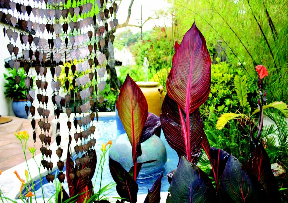 Professional landscape installation in Berkeley, CA by Goodman Landscape Design