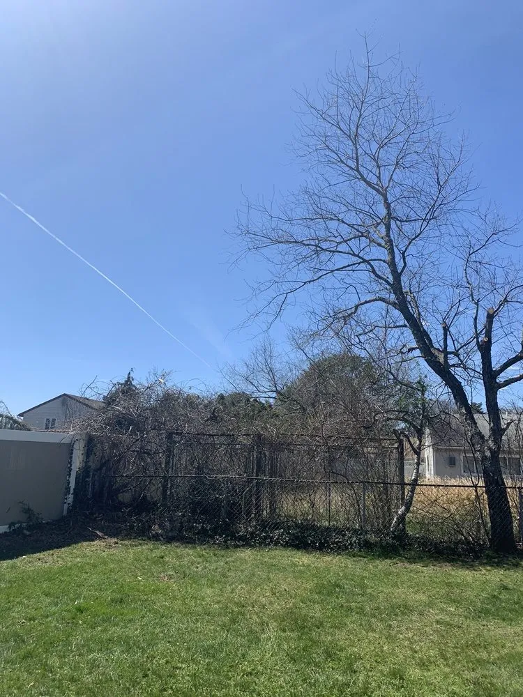 Reliable lawn care service in Deer Park, NY by Goodman Tree Service