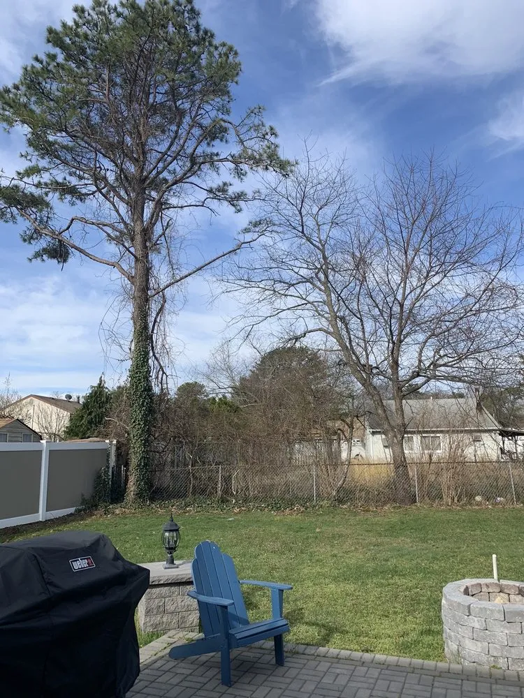 Expert yard maintenance for homes in Deer Park, NY by Goodman Tree Service