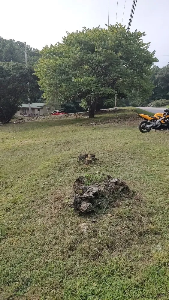 Professional lawn care service for beautiful yards in Rocky Top, TN by Goodman's Handyman