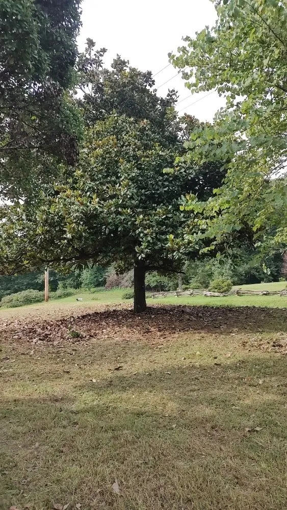 Expert garden landscaping experts serving Rocky Top, TN - Goodman's Handyman