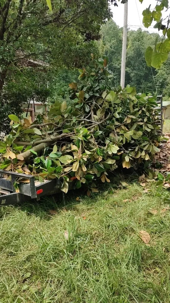 Local landscape design experts serving Rocky Top, TN - Goodman's Handyman