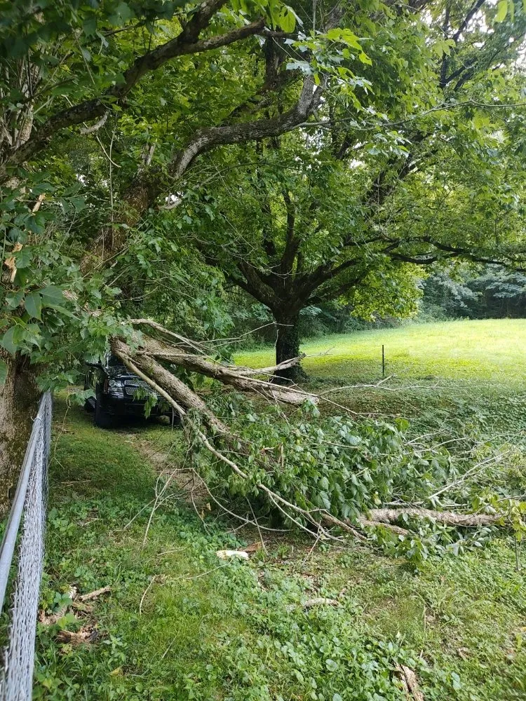 Top-rated garden landscaping with custom design across Rocky Top, TN - Goodman's Handyman