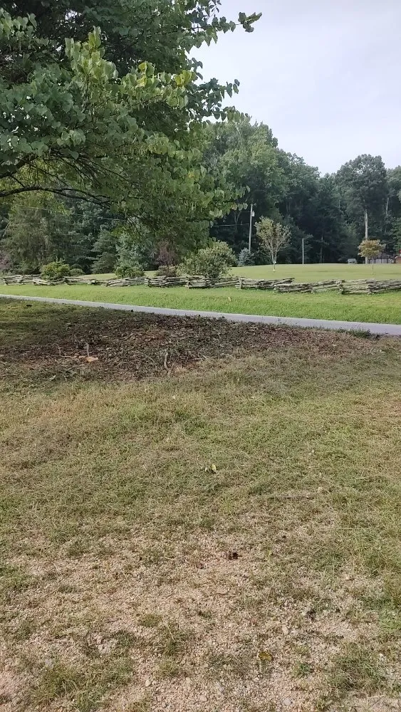 Trusted yard maintenance in Rocky Top, TN - Goodman's Handyman