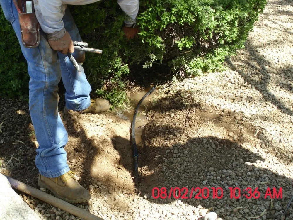 Local landscaping services in Phoenix, AZ - Goodman's Landscape Maintenance