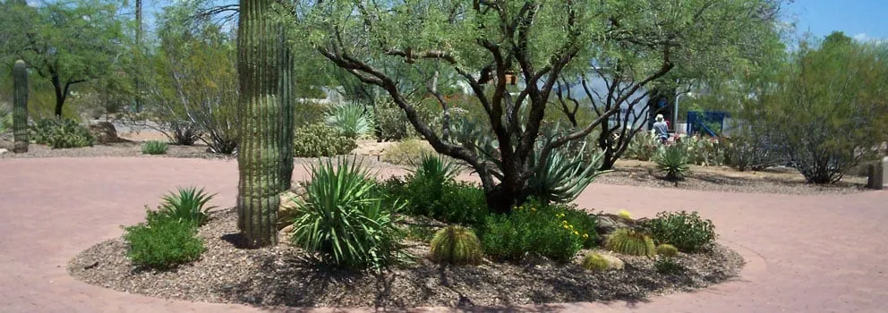 Reliable residential landscaping in Scottsdale, AZ - Goodman's Landscape Maintenance