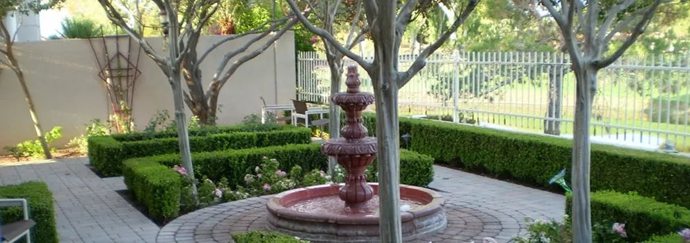 Local landscape installation in Scottsdale, AZ - Goodman's Landscape Maintenance