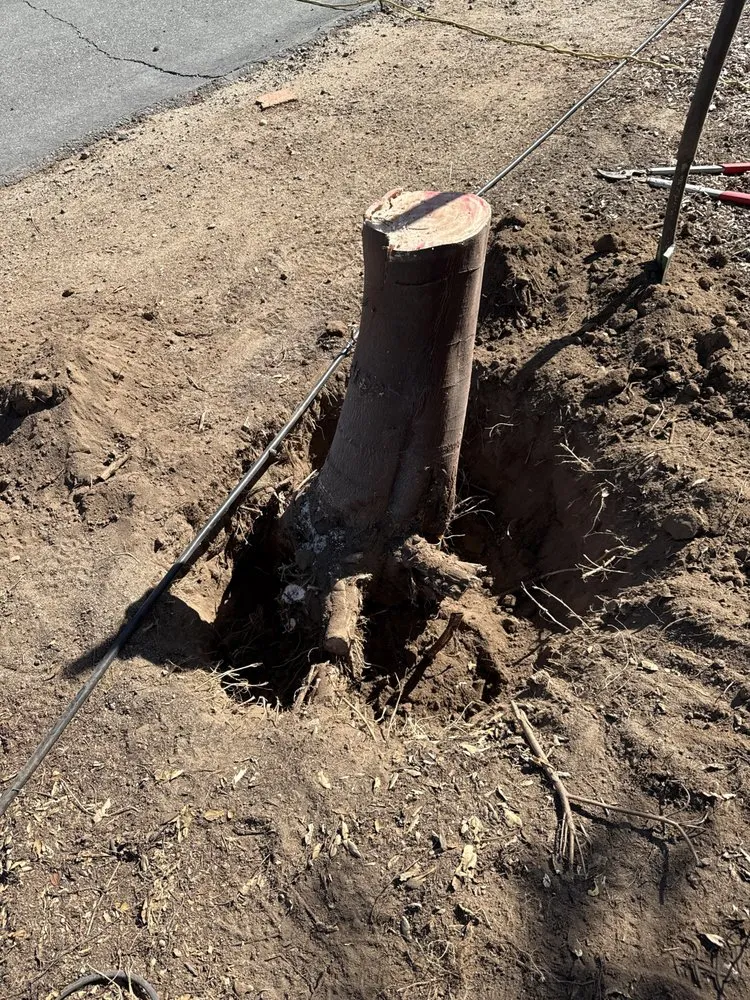 Local lawn care service in Valley center, CA by Goodmans Landscaping