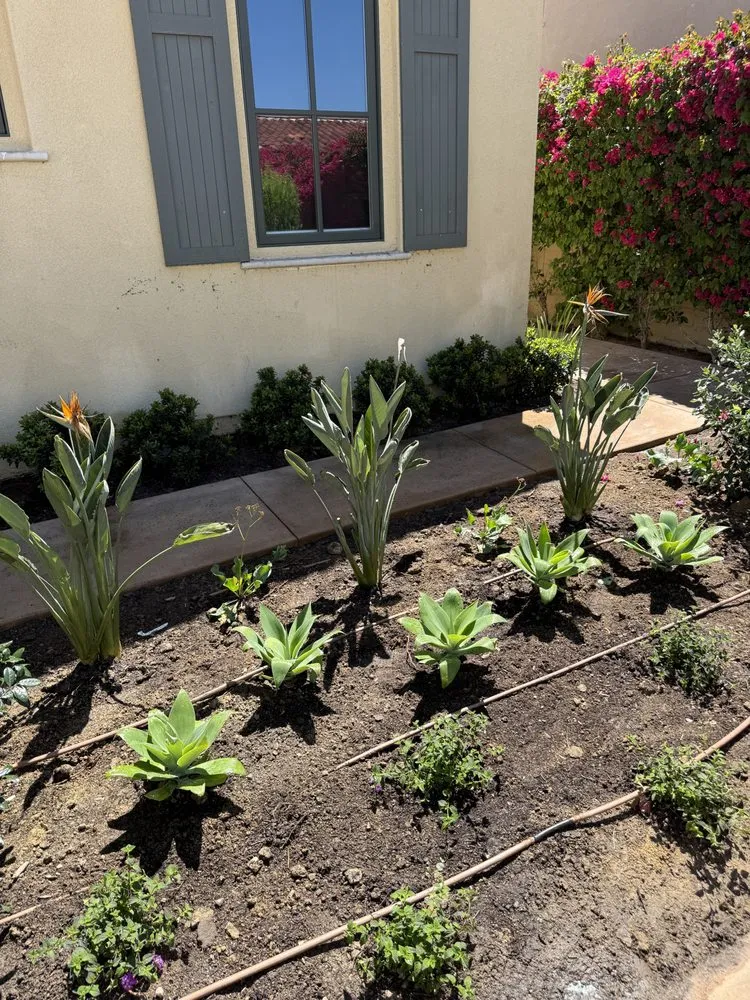 Top-rated outdoor landscaping in Valley center, CA - Goodmans Landscaping