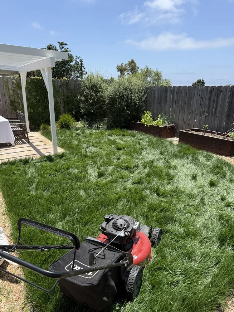 Reliable lawn care service experts serving Valley center, CA - Goodmans Landscaping