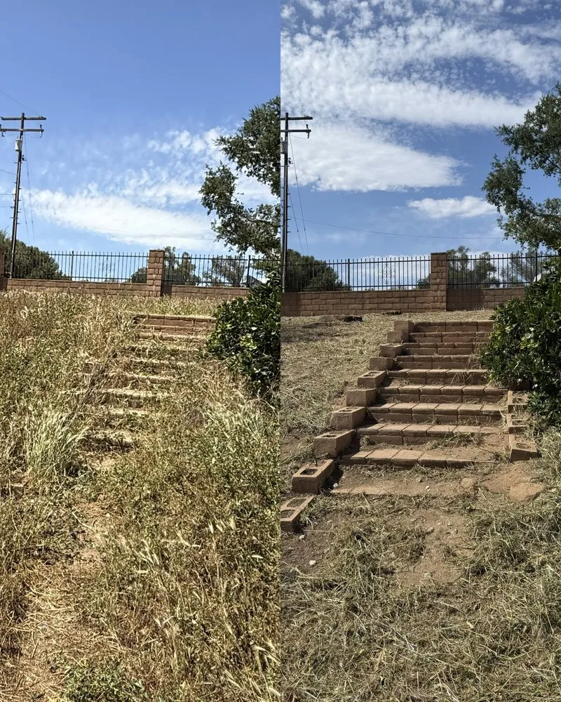 Expert landscape design for homes in Valley center, CA by Goodmans Landscaping