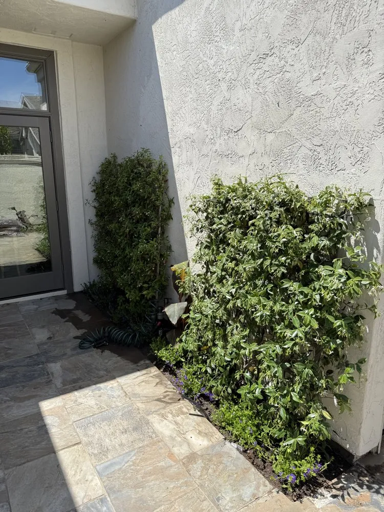 Professional yard cleanup service in Valley center, CA by Goodmans Landscaping