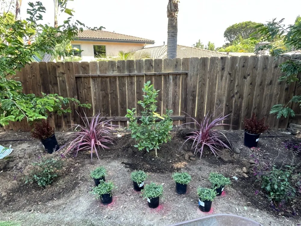 Reliable yard maintenance experts serving Valley center, CA - Goodmans Landscaping