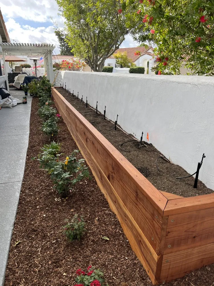 Top-rated yard maintenance in Valley center, CA by Goodmans Landscaping