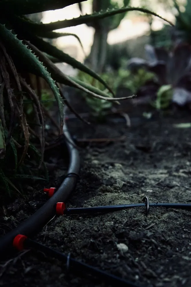 Professional outdoor landscaping for outdoor upgrades across Valley center, CA - Goodmans Landscaping