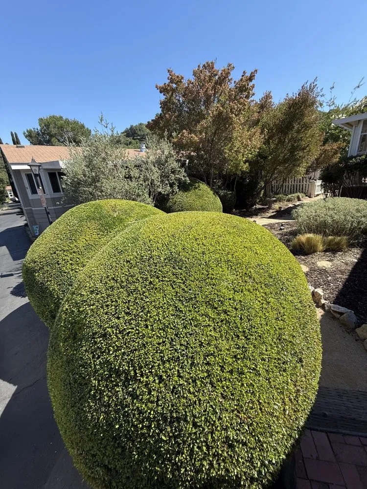 Trusted landscape design in Valley center, CA by Goodmans Landscaping