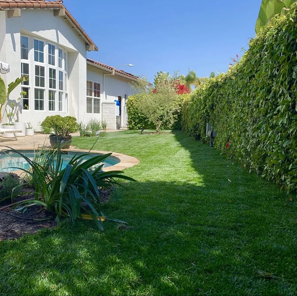 Expert yard maintenance in Valley center, CA - Goodmans Landscaping