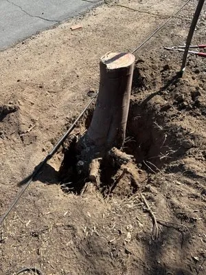 Goodmans Landscaping