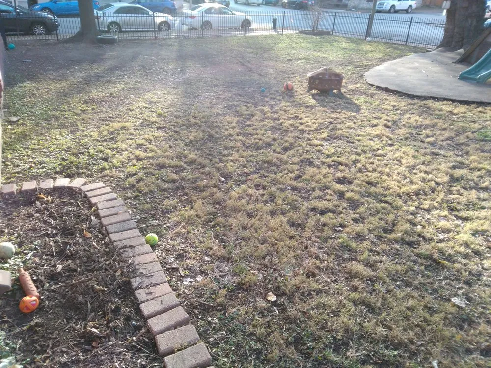 Reliable lawn care service in Hillsboro, MO by Goodman's Lawncare & Repair