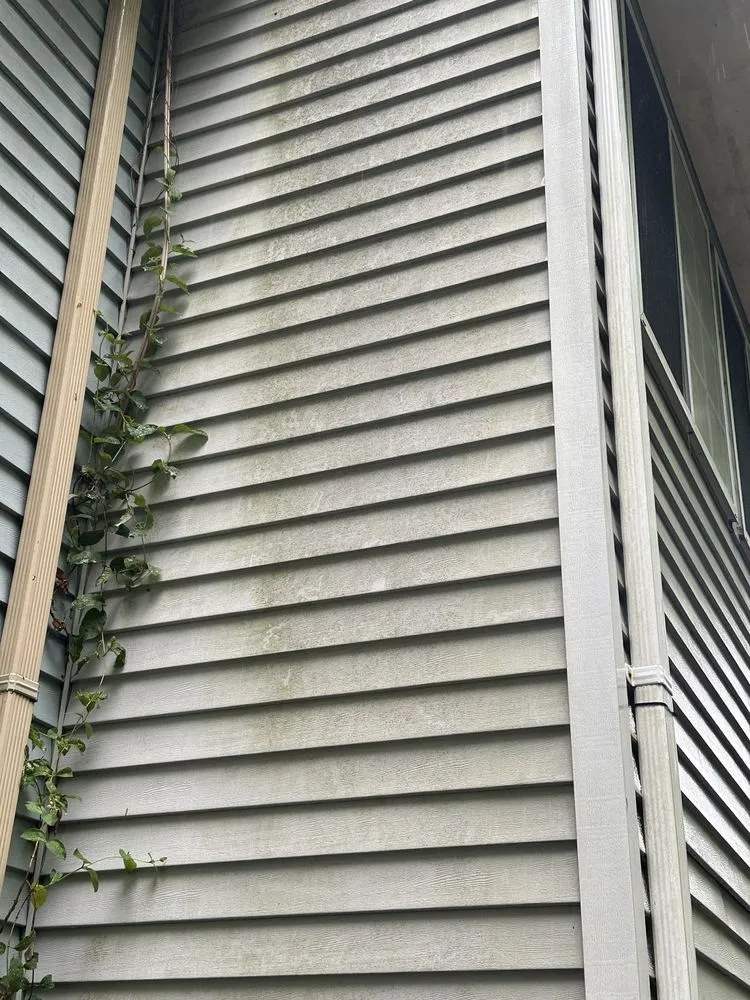 Expert garden landscaping for residential properties across Fairfax, VA - GoodNeighbor Exterior Services