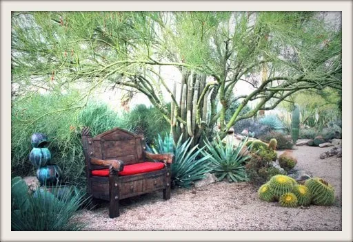 Affordable landscaping services experts serving Cave Creek, AZ - Goodroad Landscaping