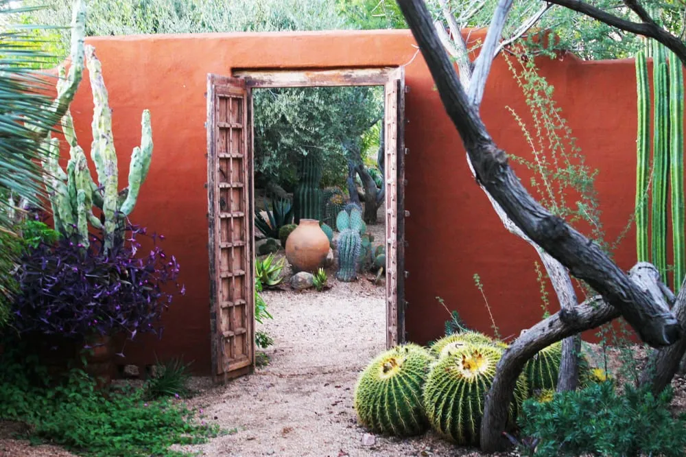 Professional yard cleanup service for homes in Cave Creek, AZ by Goodroad Landscaping