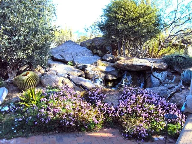 Top-rated garden landscaping near you across Cave Creek, AZ - Goodroad Landscaping