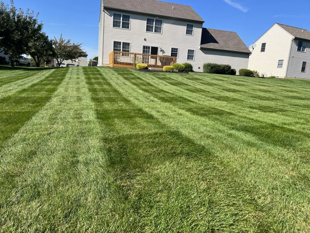 Reliable yard cleanup service experts serving New Holland, PA - Goods Lawn Care