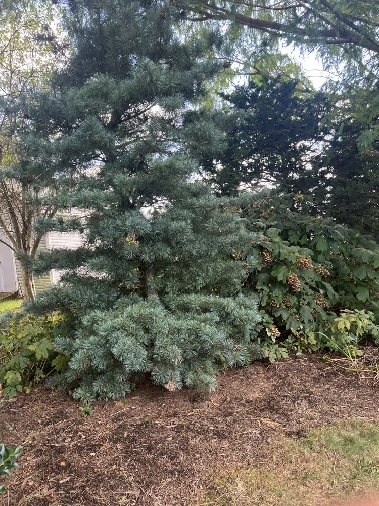 Reliable landscaping services in New Holland, PA by Goods Lawn Care