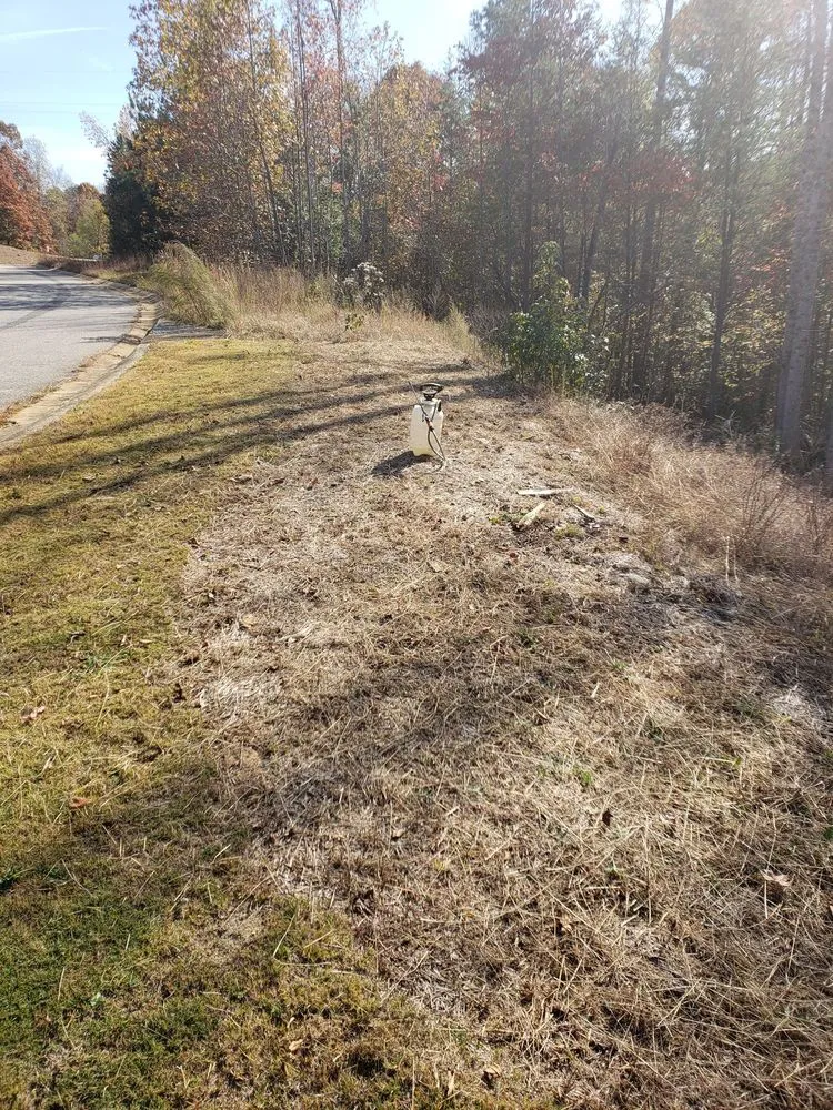 Custom yard cleanup service for residential properties across Gainesville, GA - Good's Lawn Service