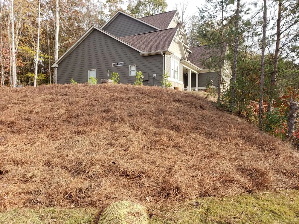 Expert yard cleanup service for beautiful yards across Gainesville, GA - Good's Lawn Service