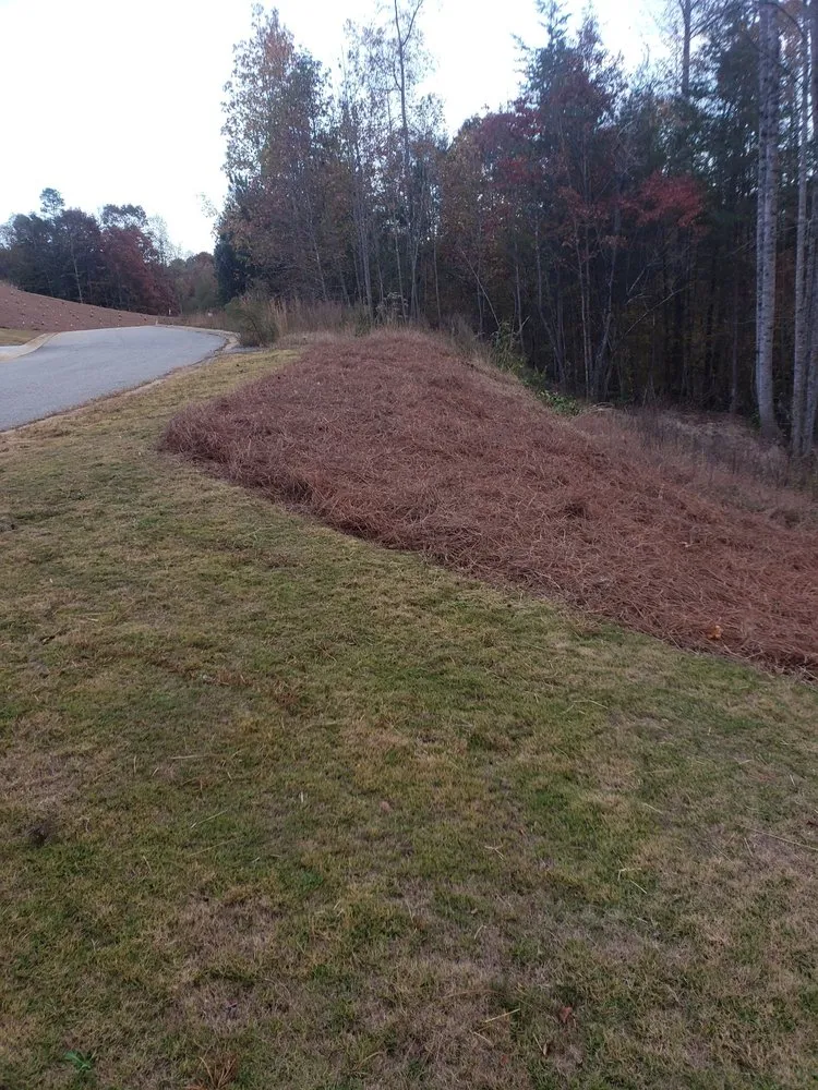 Affordable landscape design near you in Gainesville, GA by Good's Lawn Service