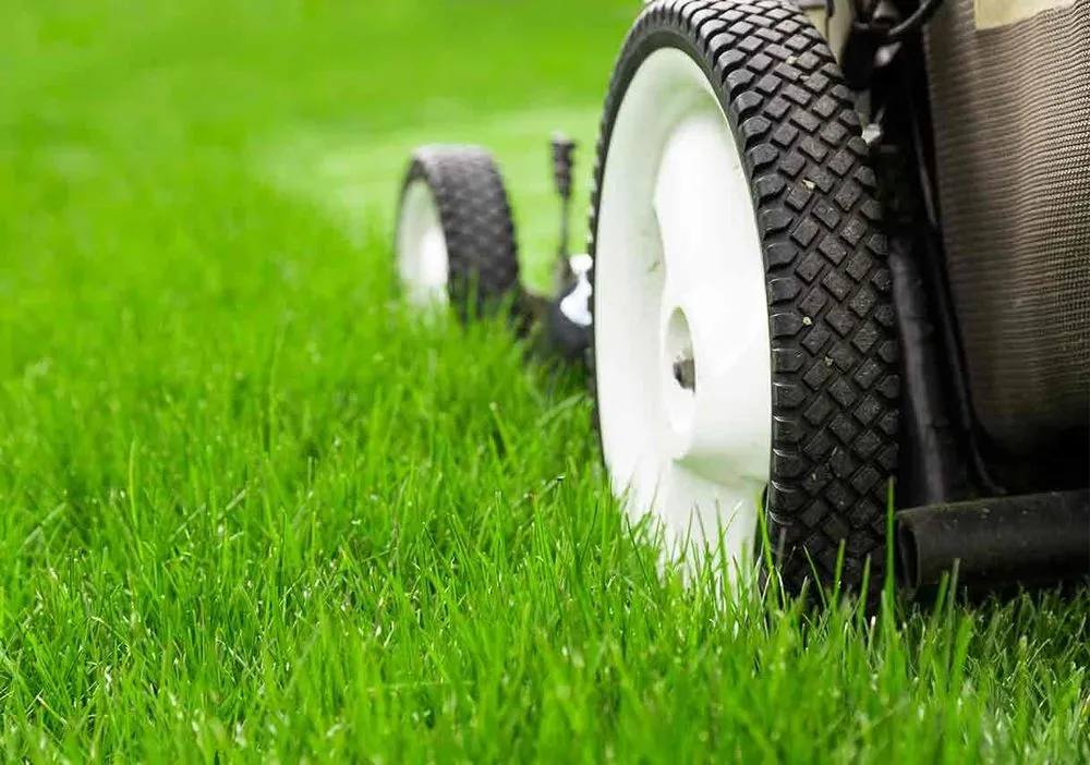 Reliable outdoor landscaping in Gainesville, GA - Good's Lawn Service