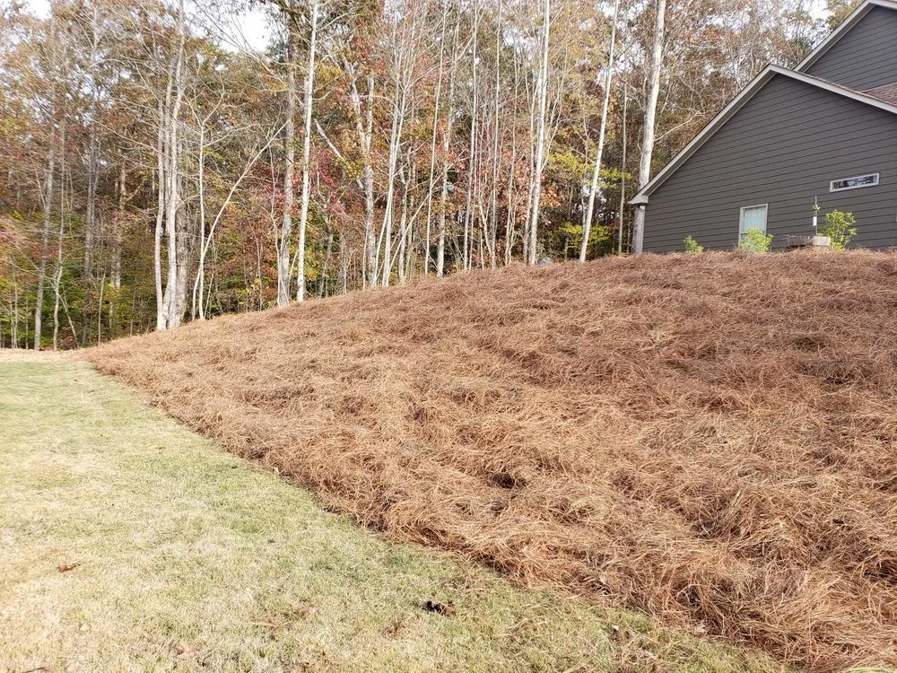 Affordable landscape installation for outdoor upgrades across Gainesville, GA - Good's Lawn Service