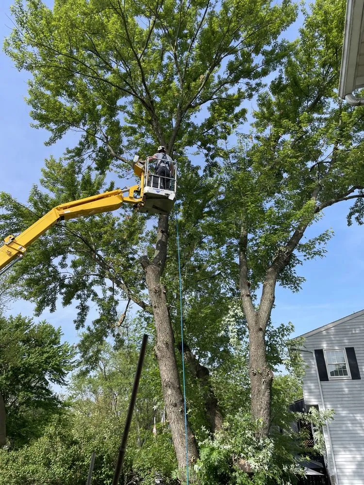 Local landscape installation for homes across Harrisburg, PA - Good's Tree Care