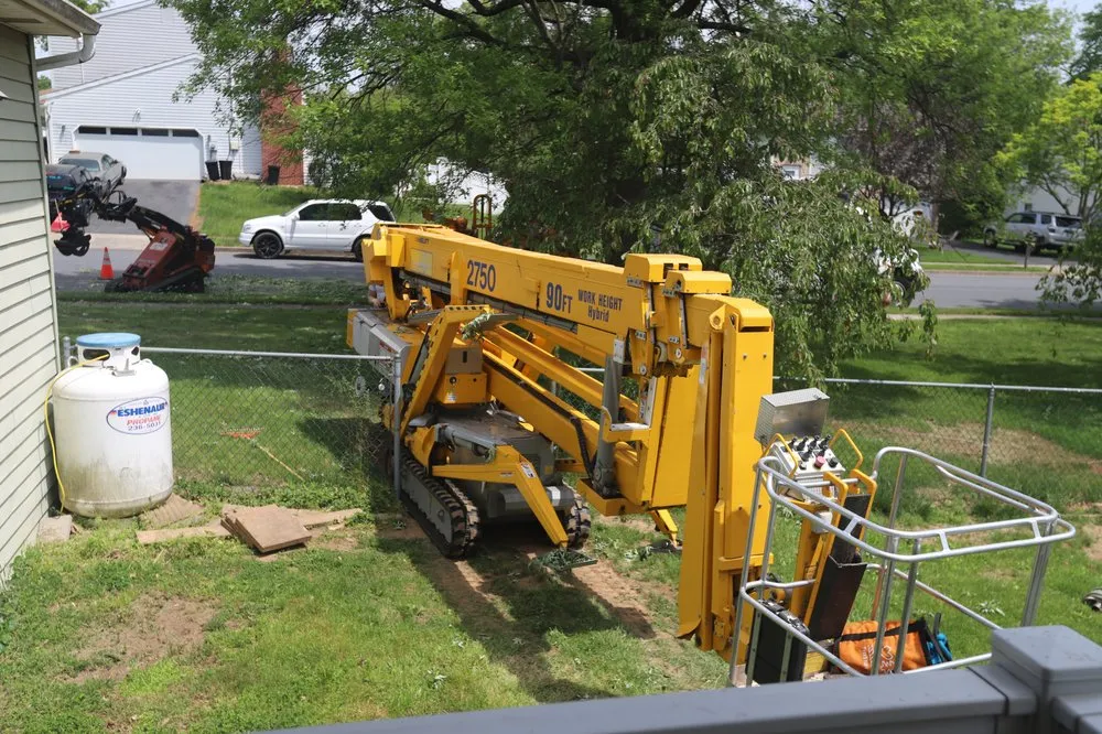 Professional yard cleanup service in Harrisburg, PA - Good's Tree Care