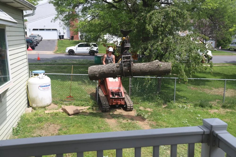 Reliable yard cleanup service for beautiful yards in Harrisburg, PA by Good's Tree Care