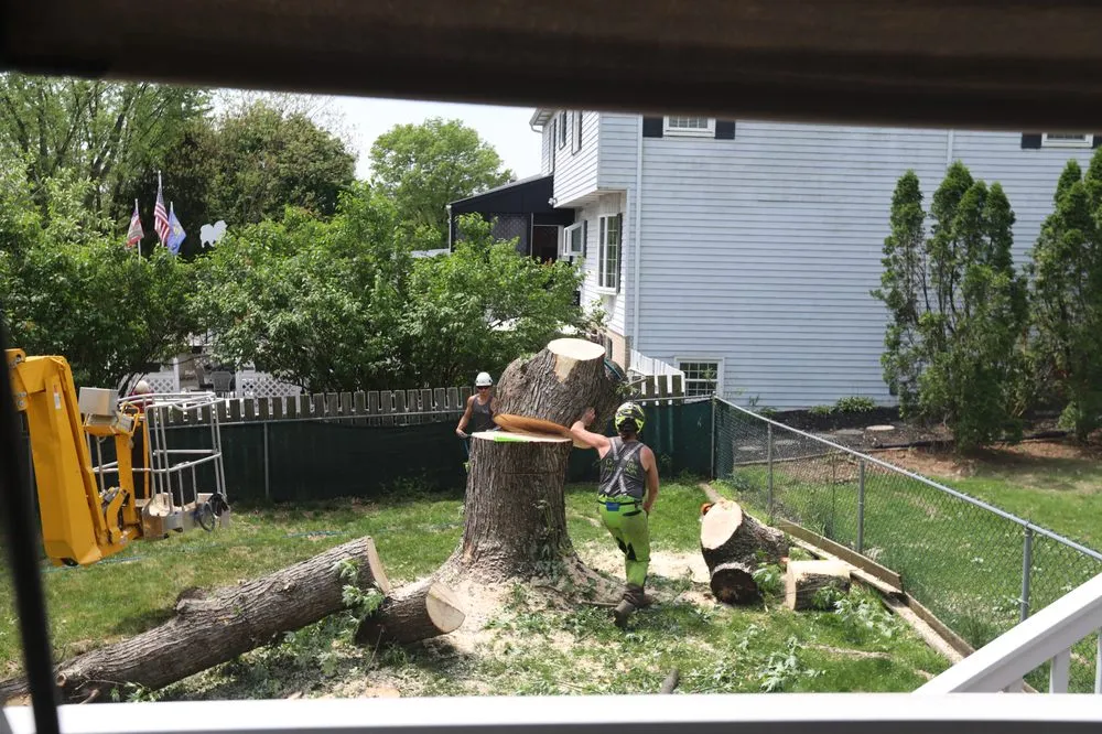 Top-rated yard cleanup service for outdoor upgrades across Harrisburg, PA - Good's Tree Care