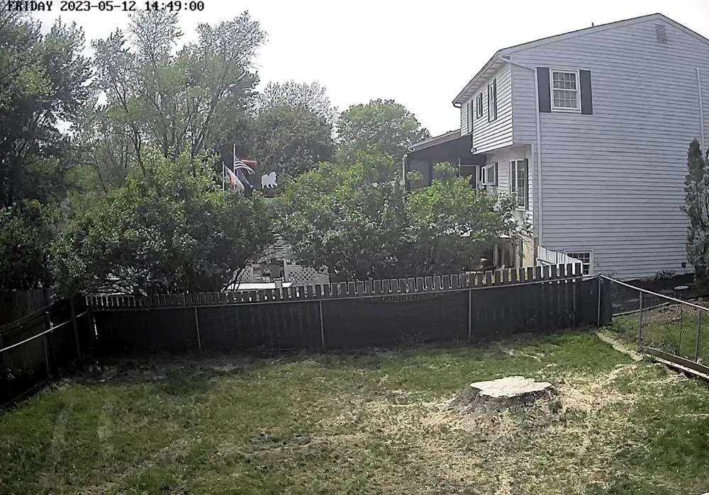 Custom landscaping services in Harrisburg, PA by Good's Tree Care