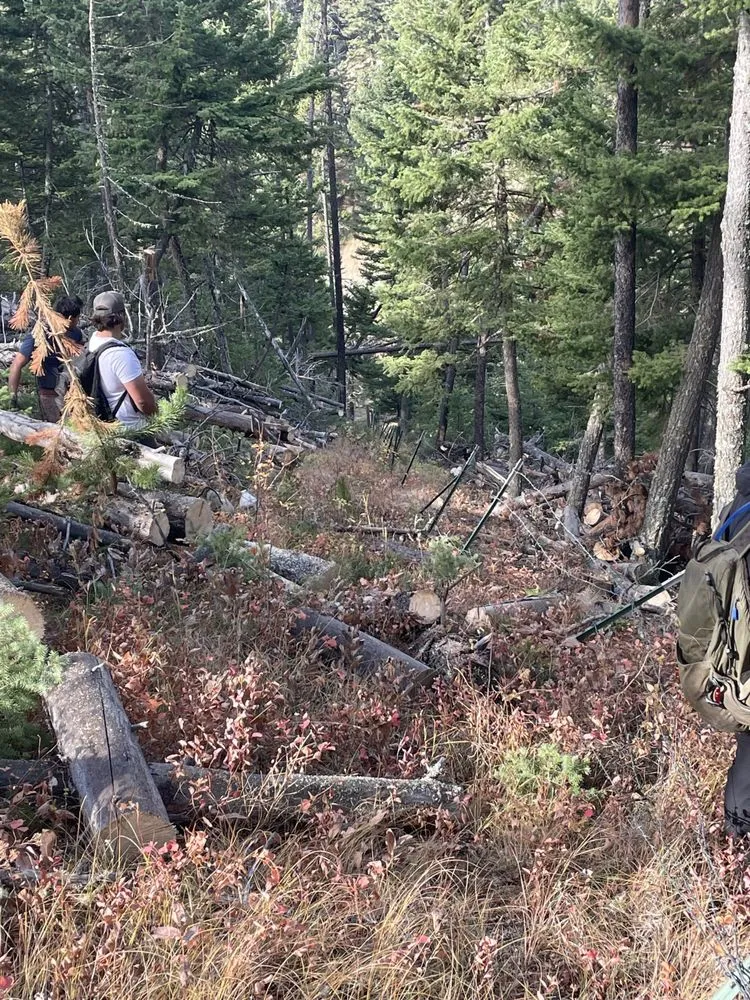 Top-rated landscape design for residential properties across Kalispell, MT - Goodsawyers