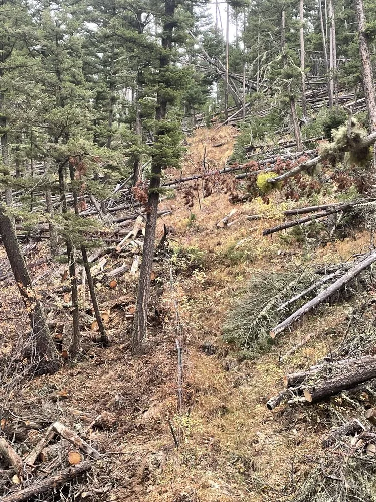 Trusted lawn mowing service for outdoor upgrades in Kalispell, MT by Goodsawyers